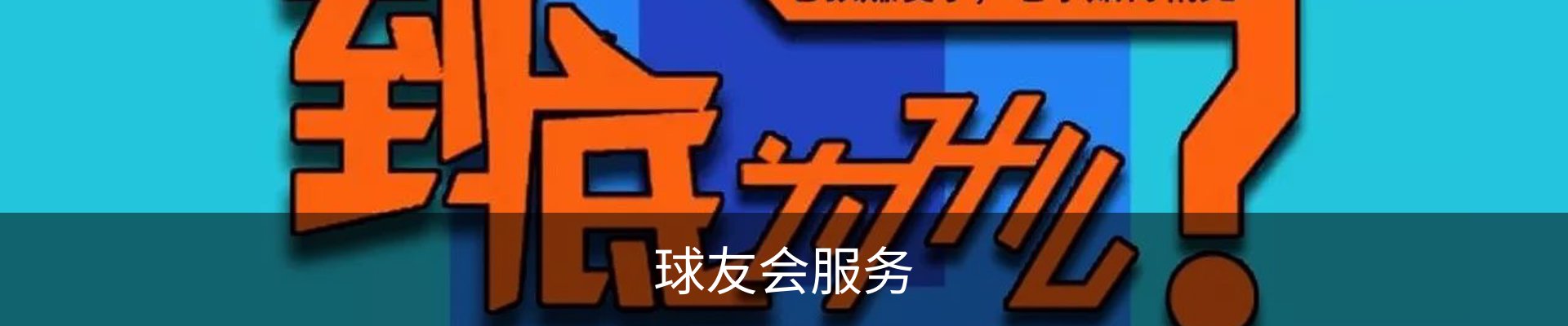 球友会服务